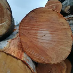 Stos pociętych kloców drewna kominkowego, widoczne słoje drewna i fragment kory, na tle lekko pochmurnego nieba.