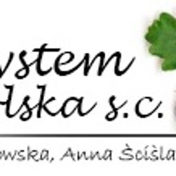 EcoSystem Polska S.C. Karolina Kozłowska, Anna Ściślak - Ocena Stanu Technicznego Budynku Tychy