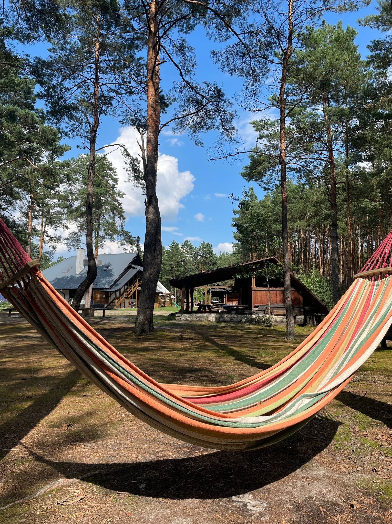Kolorowy hamak zawieszony między drzewami w lesie, w tle drewniane budynki i błękitne niebo z chmurami. Idealne miejsce na relaks podczas imprezy plenerowej.