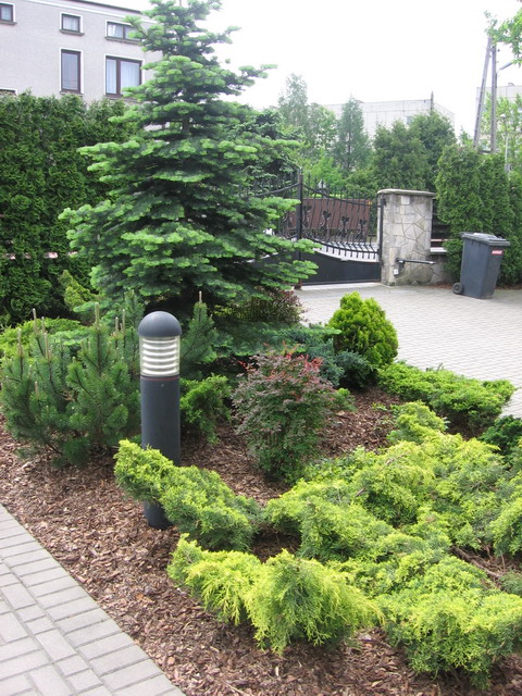 Urządzanie i Pielęgnacja Ogrodów