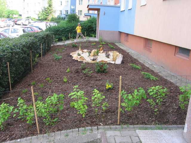 Nowo założony ogród przydomowy z młodymi krzewami, korą, kamieniami ozdobnymi i niewielką skalą, ogrodzony niskim płotkiem, na tle bloku mieszkalnego i osoby stojącej w tle.