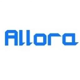 ALLORA - Nadzorowanie Budowy Złotniki