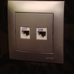 Podwójne gniazdo sieciowe RJ45 z numerami 307 i 308, zamontowane na ścianie z ciemną tapetą w kwiatowy wzór.