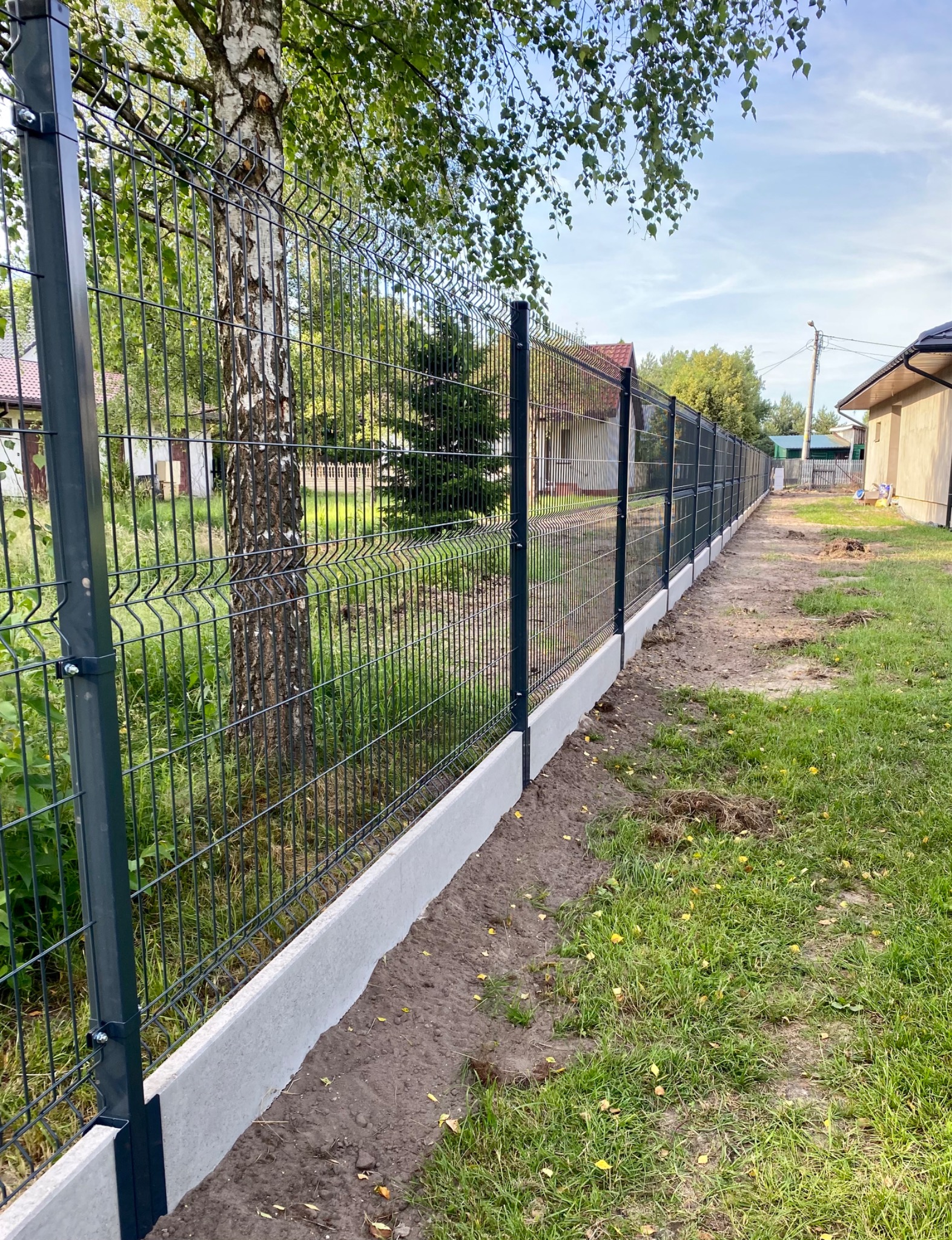 Długi, ciemny, metalowy płot panelowy z podmurówką betonową, biegnący wzdłuż trawnika i drzewa brzozy, z domami w tle.