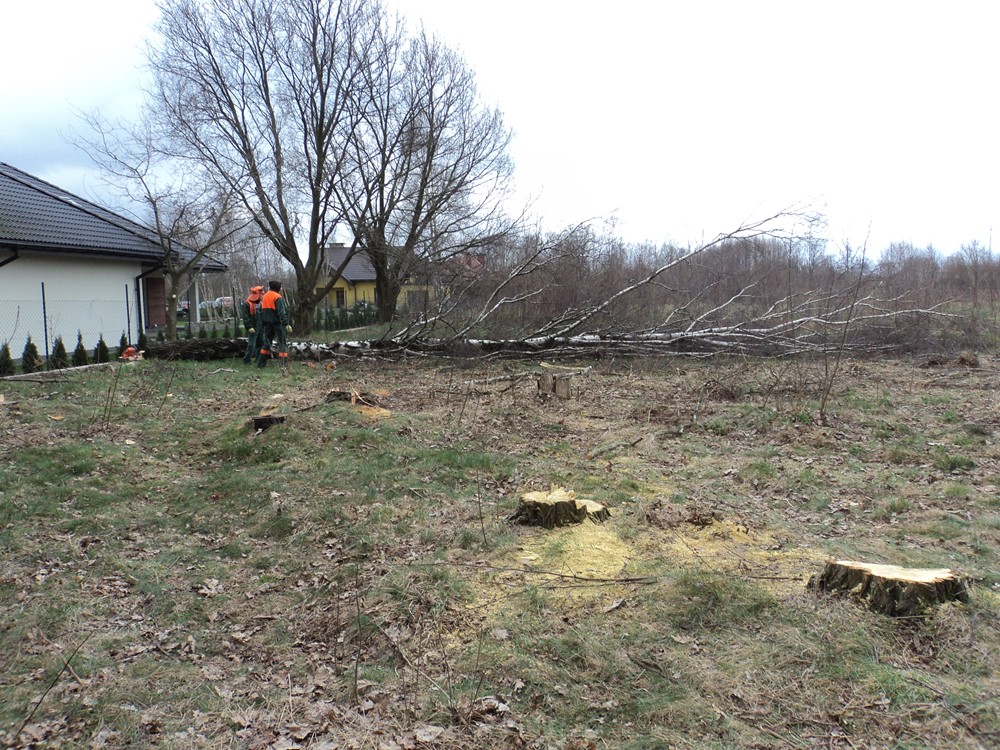 Karczowaniwe działek pod budowe, rozbiórki domków, komórek - jakość i konkurencyjne ceny - AGRON2003