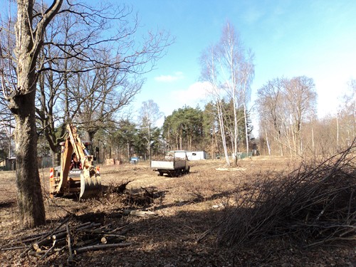 Pomarańczowa koparka usuwa korzenie drzew na wykarczowanym terenie pod budowę, widoczna ciężarówka do wywozu gałęzi, w tle drzewa i błękitne niebo.
