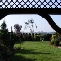 Widok na wypielęgnowany ogród z trawnikiem i różnorodnymi drzewami oraz krzewami ozdobnymi, widziany spod drewnianej konstrukcji z kratownicą.