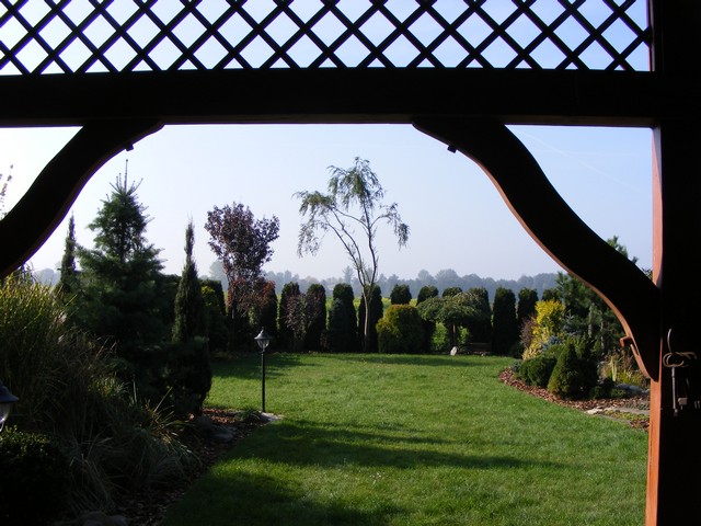 Widok na wypielęgnowany ogród z trawnikiem i różnorodnymi drzewami oraz krzewami ozdobnymi, widziany spod drewnianej konstrukcji z kratownicą.