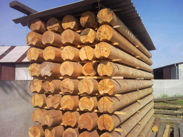 Stos świeżo obrobionych, okrągłych bali drewnianych ułożonych pod zadaszeniem, widoczne słoje drewna i niewielkie listwy oddzielające warstwy.