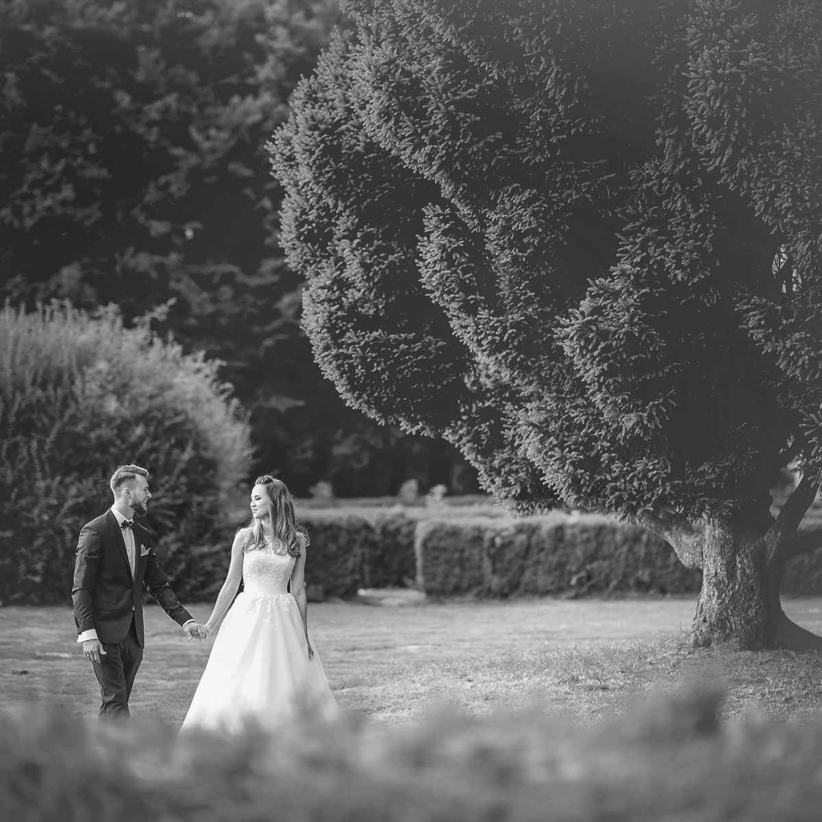 Czarno-białe zdjęcie pary młodej trzymającej się za ręce, spacerującej po trawniku w parku, z dużym drzewem iglastym w tle po prawej stronie.