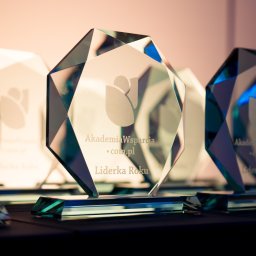 Nagroda dla Unlimited Centrum Szkoleń za działalność w ramach ogólnopolskiego projektu Akademia Wsparcia Rozwoju Malucha. Upowszechnianie edukacji żłobkowej w Polsce.