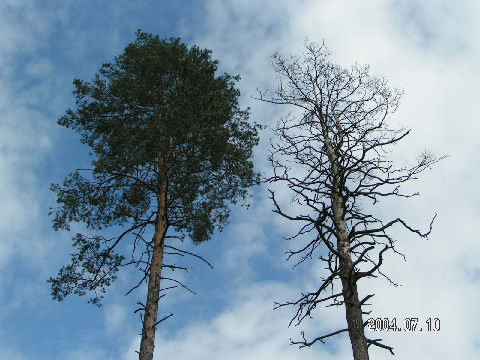OC AC NNW Zdrowotne Turystyczne Przemysł