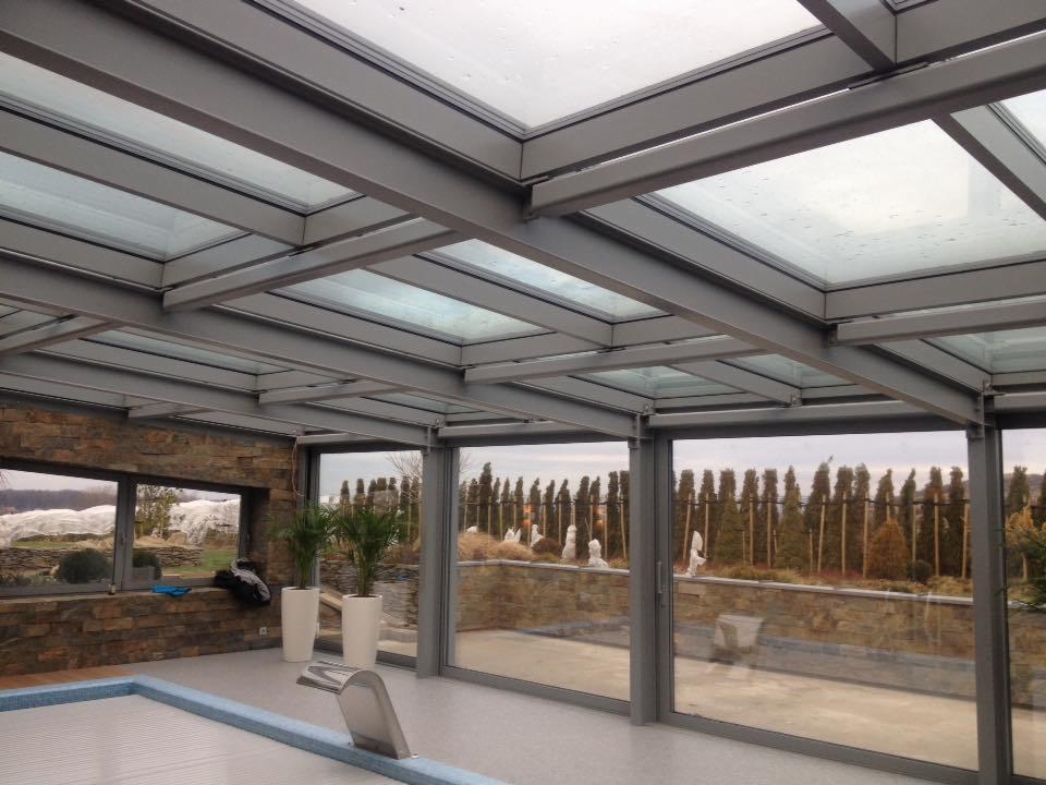 Wnętrze zadaszonego basenu z przeszklonym dachem na stalowej konstrukcji, widok na zewnętrzny ogród z rzeźbami.