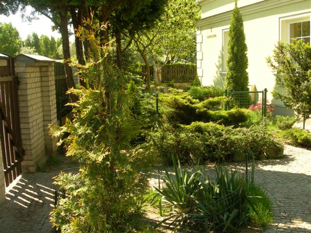 Świadczymy kompleksowe usługi z zakresu budowy i urządzania ogrodu.