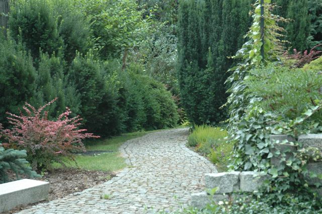 Kręta ścieżka z kostki brukowej prowadząca przez starannie zaprojektowany ogród z różnorodną roślinnością, w tym strzyżone krzewy iglaste i kwitnące krzewy liściaste, otoczona kamiennym murkiem...