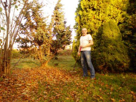 Koszenie, wycinka, pielęgnacja ogrodu