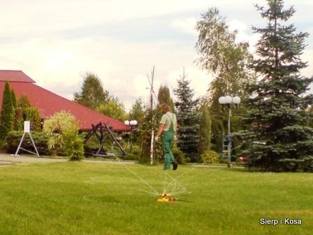 Utrzymanie terenów zielonych