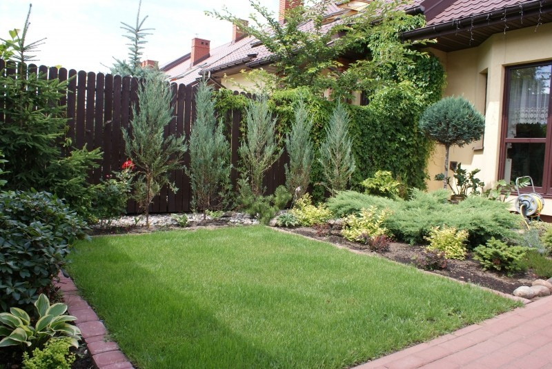 Zadbany trawnik z równo przystrzyżoną trawą, obrzeżem z czerwonej kostki, ozdobnymi krzewami i tujami wzdłuż drewnianego płotu, z budynkiem w tle.