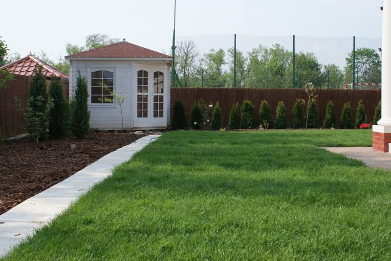 Świeżo założony trawnik z rolki, widoczny biały domek ogrodowy z czerwonym dachem, obrzeże z jasnych płyt betonowych i nasadzenia z tuj.