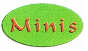 Zielony, owalny emblemat z pomarańczowym napisem 'Minis'.