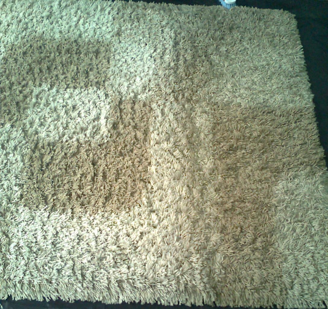 Dywan shaggy z widocznym efektem czyszczenia: jaśniejsza, odświeżona część kontrastuje z zabrudzoną. W tle widoczny fragment butelki z detergentem.