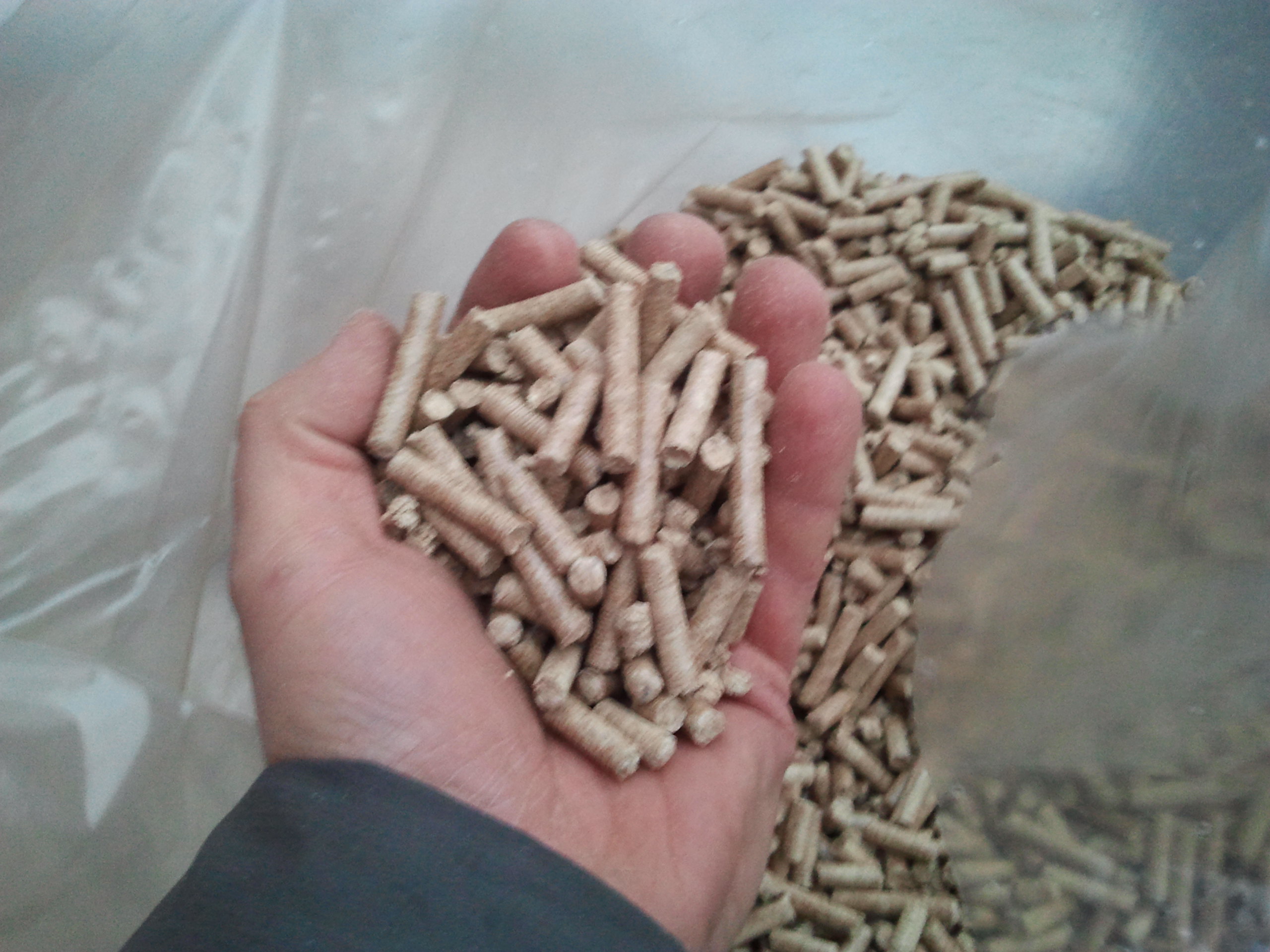 Dłoń trzymająca garść jasnych, cylindrycznych granulek z trocin, na tle przezroczystego worka wypełnionego tym samym materiałem.