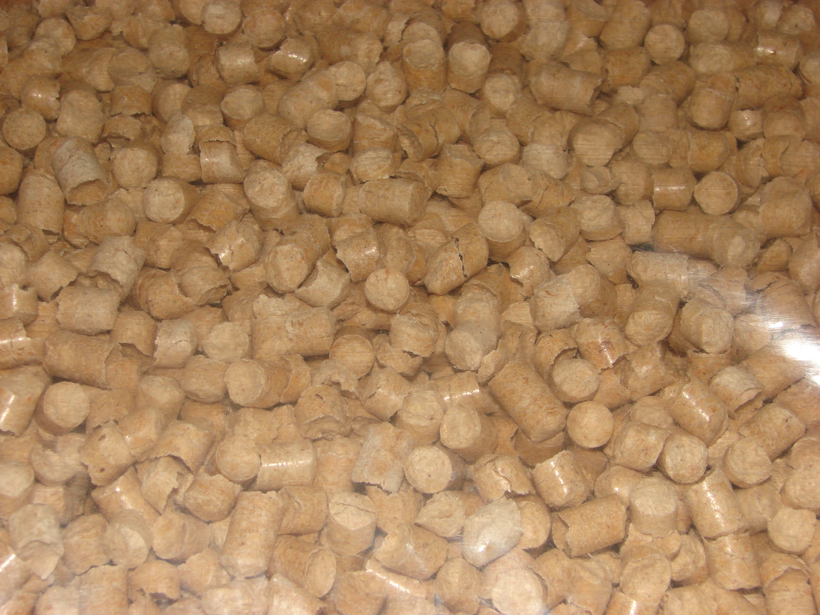 Jasne, cylindryczne granulki pelletu z widocznymi włóknami drzewnymi, ułożone gęsto, z lekkim efektem przezroczystości w dolnej części kadru.