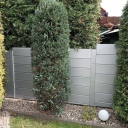 Michał Nowrocki FIRMA 