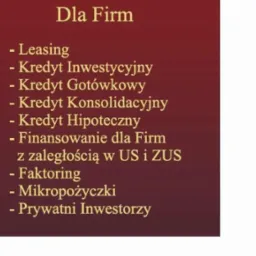 Grafika informacyjna z listą usług finansowych dla klientów indywidualnych i firm, w tym kredyty i leasing, z logo firmy 'STAVING' w dolnej części.