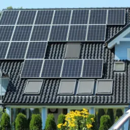 Niebieski dom jednorodzinny z zamontowanymi panelami fotowoltaicznymi na dachu pokrytym ciemną dachówką, widoczne okna dachowe i drabina oparta o ścianę, na pierwszym planie krzewy i fragment...