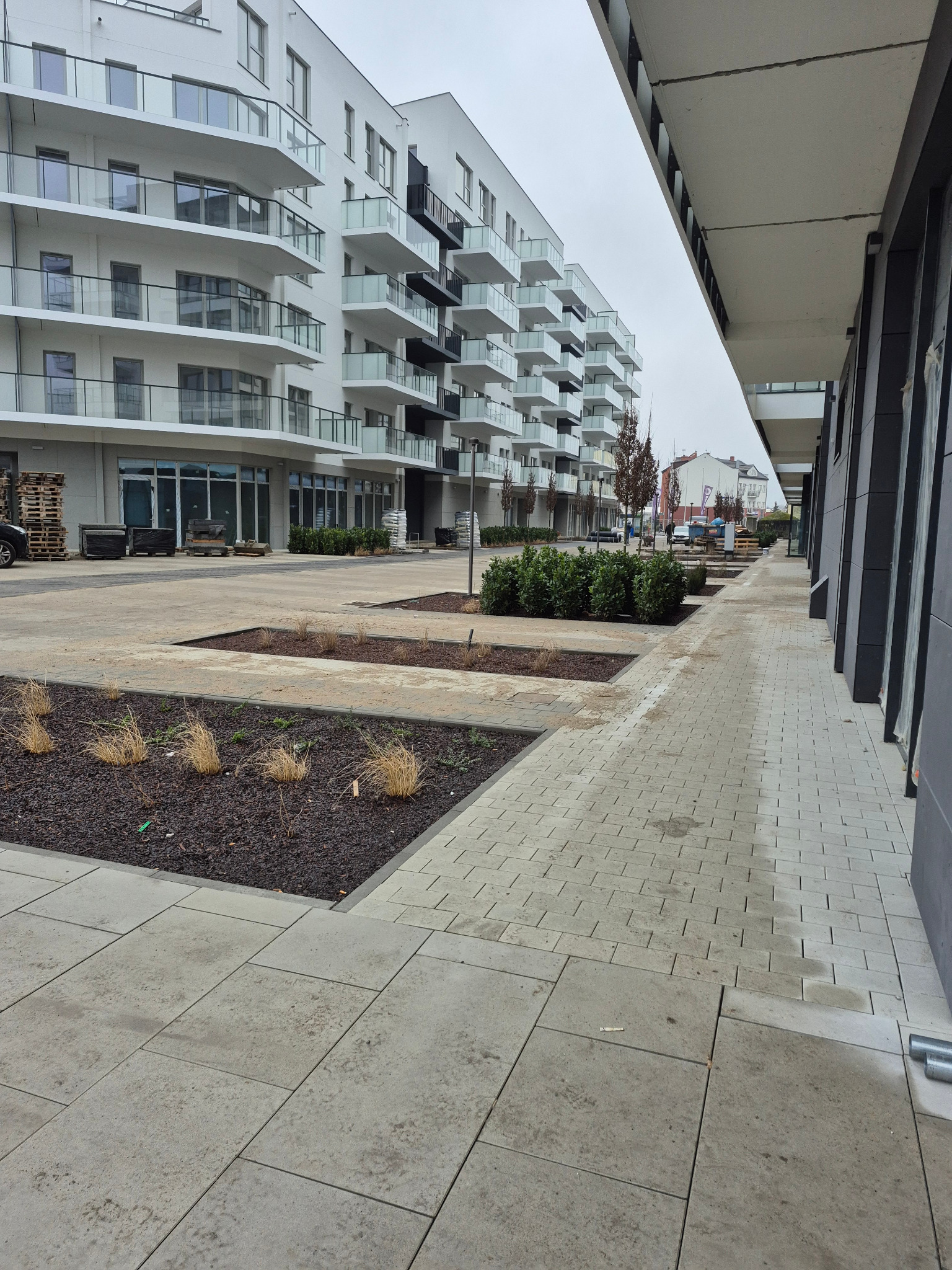 Droga, chodniki i nabrzeże ul. Celna