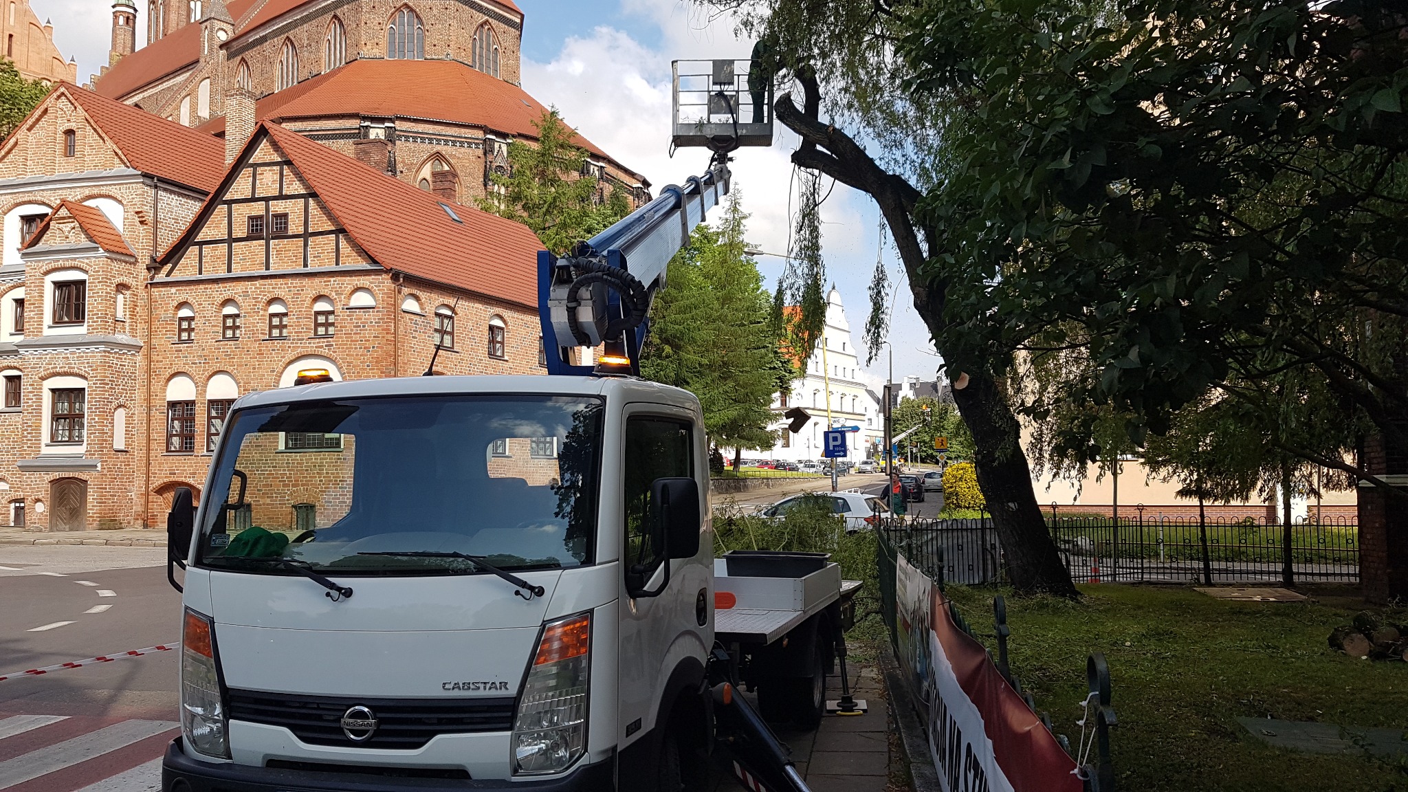 Cięcia sanitarne i pielęgnacyjne drzew