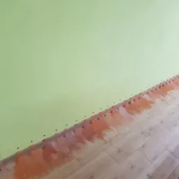 Dolna część ściany w pokoju z widocznymi śladami wilgoci i pleśni oraz otworami wentylacyjnymi wzdłuż podłogi, sugerujące problem z wilgocią