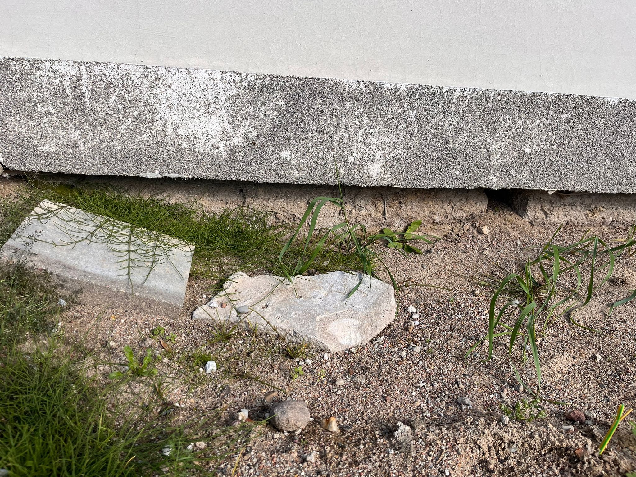 Fragment ściany fundamentowej z widocznymi uszkodzeniami i wilgocią, otoczony ziemią, kamieniami i roślinnością. Niska perspektywa podkreśla stan fundamentu.