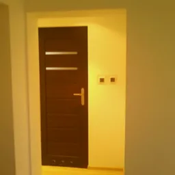 Ciemne drzwi z poziomymi paskami i złotą klamką w otworze pomalowanej ściany. Widoczne gniazdka elektryczne i fragment podłogi.