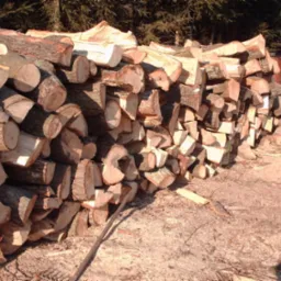 Stos pociętego drewna ułożony na ziemi z widocznym drugim, mniejszym stosem w tle, otoczony drzewami.