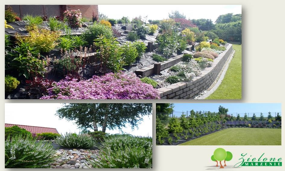 Kaskadowy ogród z roślinami okrywowymi, murkiem oporowym z cegły i ściółką z agrowłókniny, na dole kolażu aranżacja z kamieniami i krzewami oraz rząd młodych drzewek iglastych przy trawniku.