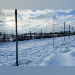 MAR-BET Ogrodzenia Czujak - Zimowy krajobraz z metalową siatką ogrodzeniową na słupkach, pokrytą śniegiem. Widoczne ślady na śniegu i odległy las pod błękitnym niebem z chmurami.