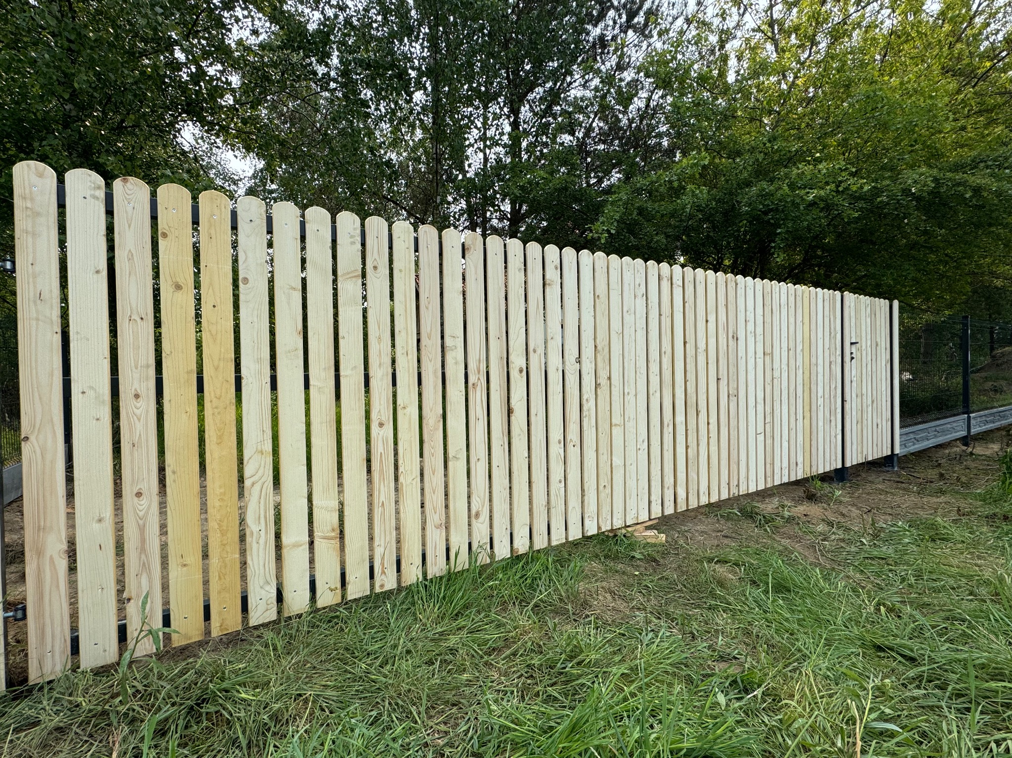 Nowe ogrodzenie drewniane z zaokrąglonymi sztachetami, widoczne mocowania, świeże drewno, trawa w tle, częściowo zamontowane, zieleń drzew w tle.
