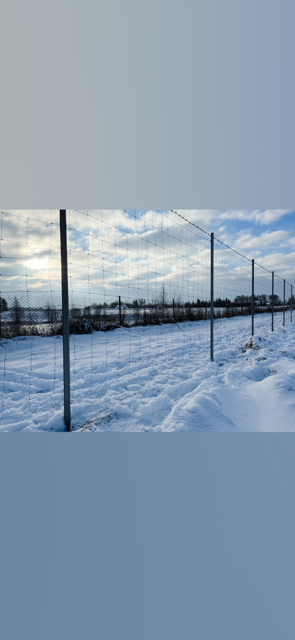 Zimowy krajobraz z metalową siatką ogrodzeniową na słupkach, pokrytą śniegiem. Widoczne ślady na śniegu i odległy las pod błękitnym niebem z chmurami.