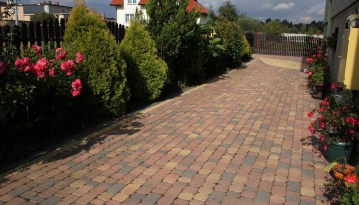 Kolorowa ścieżka z kostki brukowej prowadząca przez ogród z tujami i różami, zakończona podjazdem.