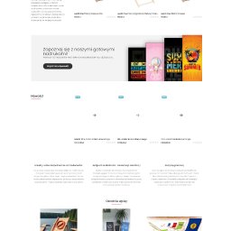 wykonanie sklepu internetowego leżaki drewniane