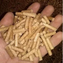 Otwarta dłoń trzymająca garść jasnych, cylindrycznych granulek na tle rozsypanych granulek.