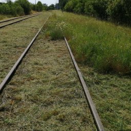 FHU ISTRANS. - Wyjątkowa Firma Ogrodnicza Września