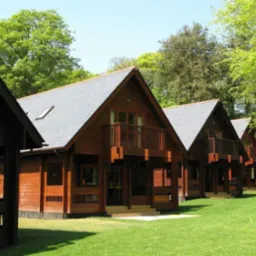 Rząd domów z bali z balkonami w Wodzisławiu Śl., otoczonych zielonym trawnikiem i drzewami. Domy mają ciemne drewniane ściany i szare dachy.