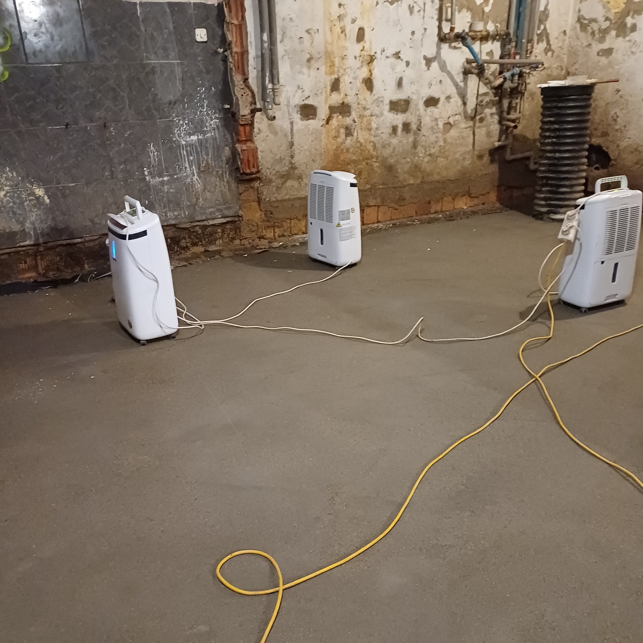 Trzy białe osuszacze powietrza z żółtymi kablami na świeżo wylanej posadzce w piwnicy w Zielonej Górze, ściany z widocznymi śladami wilgoci.