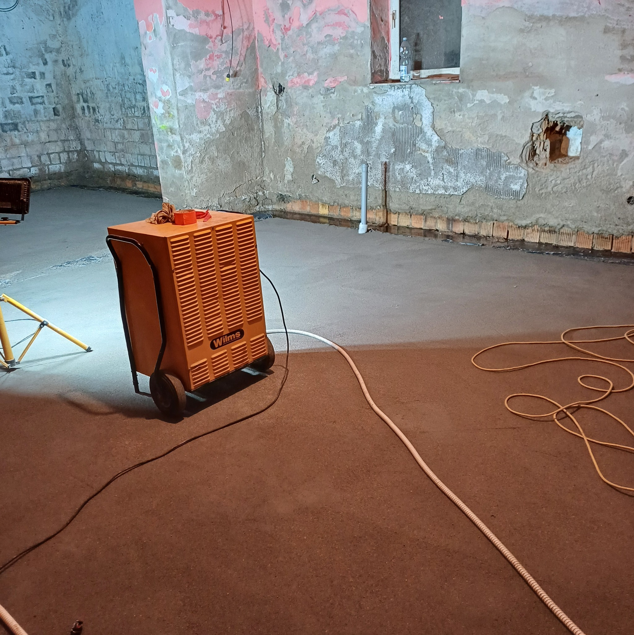 Pomarańczowy osuszacz powietrza Wilms na kółkach, stojący na świeżo wylanym betonie w piwnicy z odsłoniętą cegłą i resztkami starego tynku.