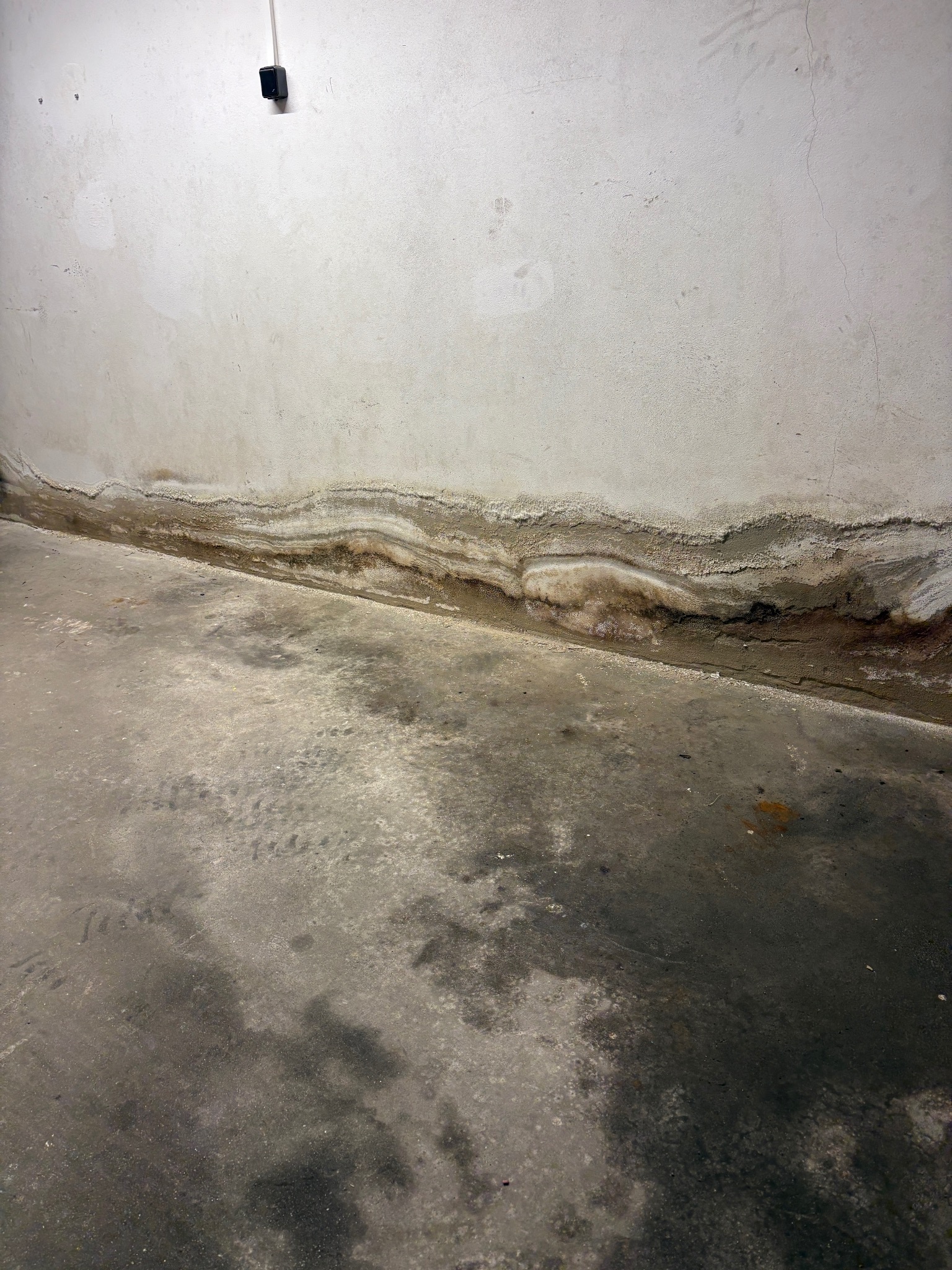 Zawilgocona ściana piwnicy z widocznymi śladami wody i wykwitami solnymi na styku ze spękaną posadzką. Widoczne zacieki i plamy wilgoci.