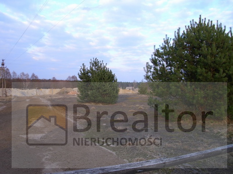 Nierówna działka budowlana porośnięta trawą i młodymi drzewami iglastymi, ogrodzona betonowym płotem, widok wczesną wiosną. Na pierwszym planie fragment drewnianego płotku.