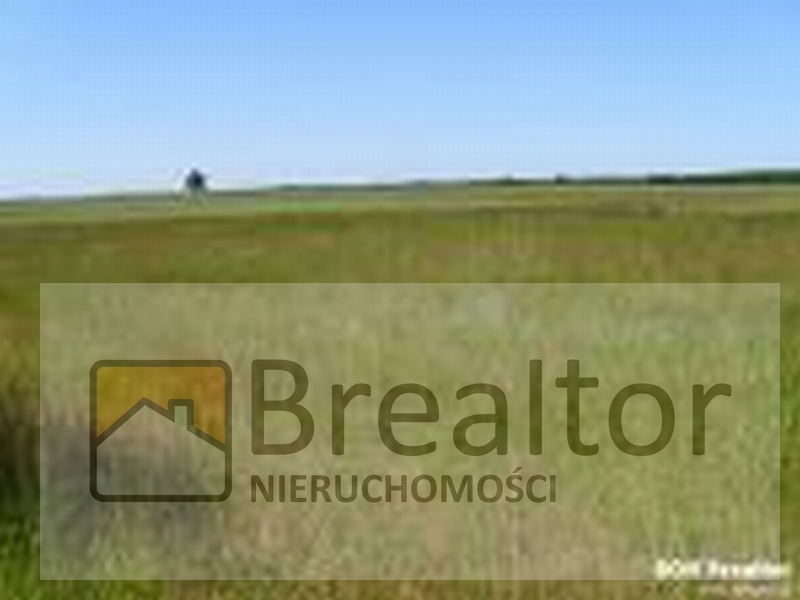 Rozległa działka rolna z widocznym horyzontem pod błękitnym niebem, z nałożonym logo agencji nieruchomości 'Brealto'.